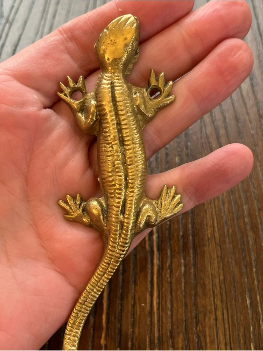 Brass Lizard Décor Hook - Gold Reptile Accent
